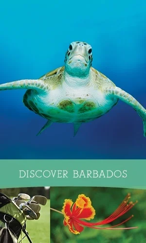 Fustic House_Web Features_300x500_FINAL3